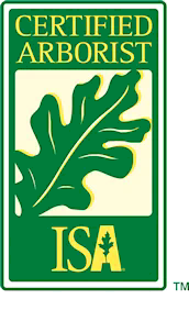 International Society of Arboriculture