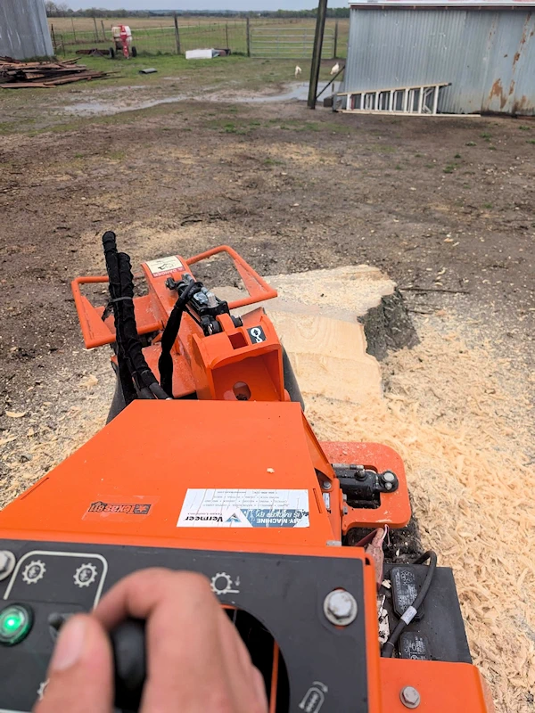 View from behind the stump grinder