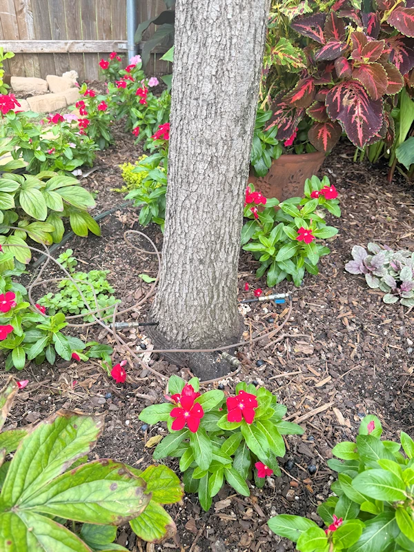 Deep root injection